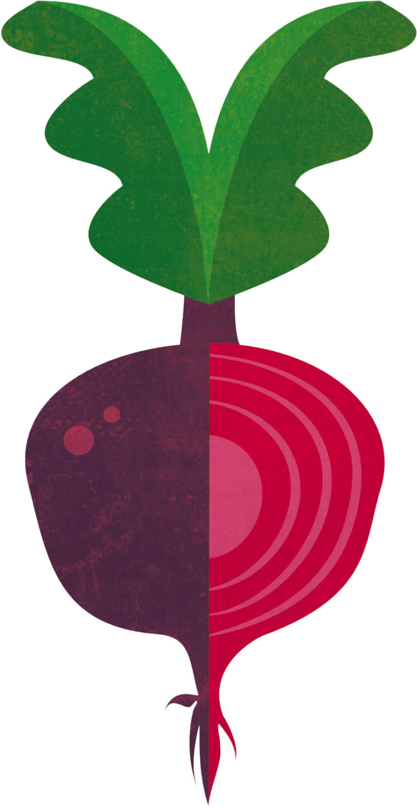 Beetroot - Aminated Images Of Beet Toot (1000x1657)