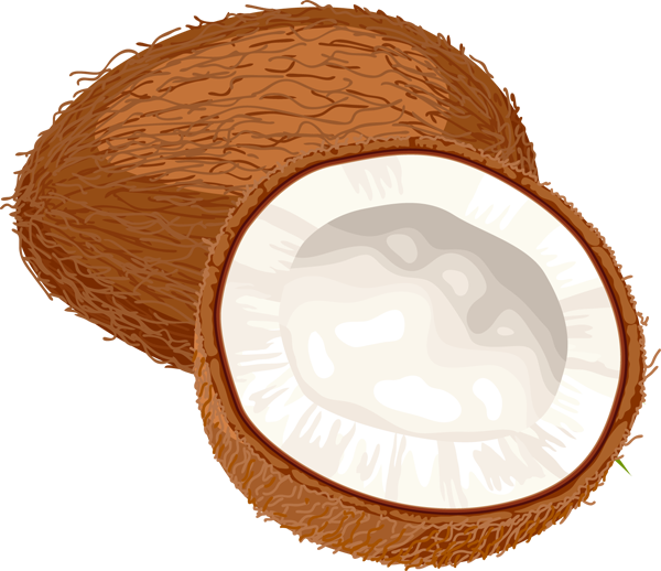 Coconut Clipart - Coconut Oil Miracle: 30+ Coconut Oil Recipes Coconut (600x518)