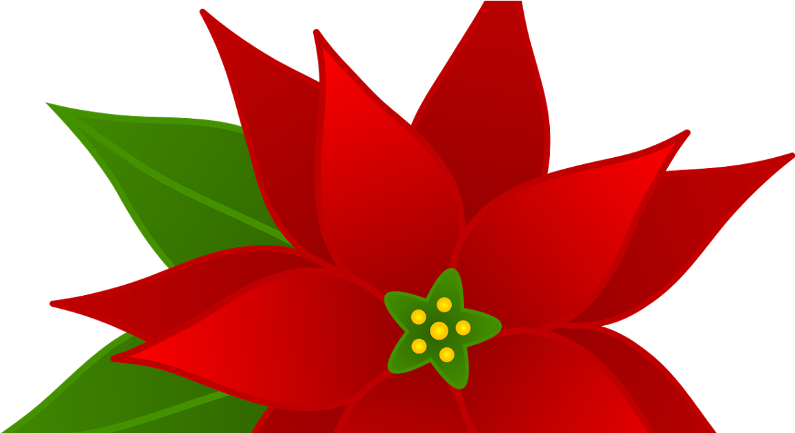 Poinsettia Clip Art (1200x630)