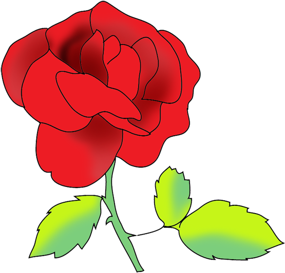 Flower Image Gallery Red Rose - Portable Network Graphics (591x568)