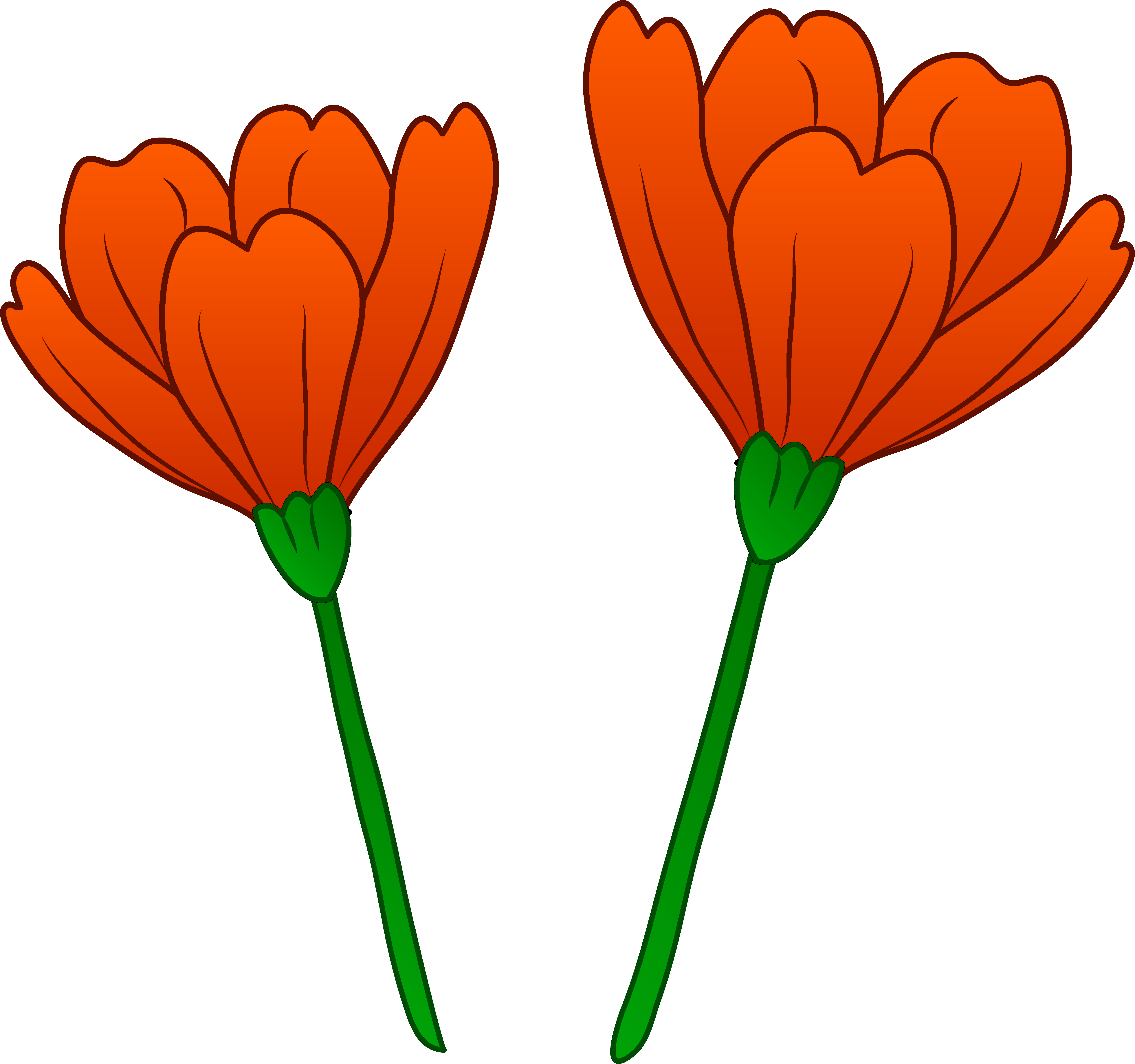Images For Red Flowers Clip Art - California Poppy Clip Art (6191x5802)