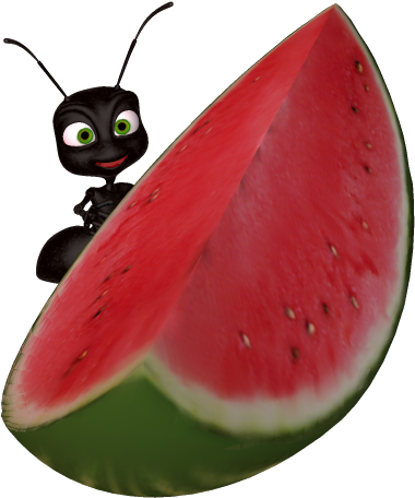 Watermelon Clip Art - Clip Art (417x466)