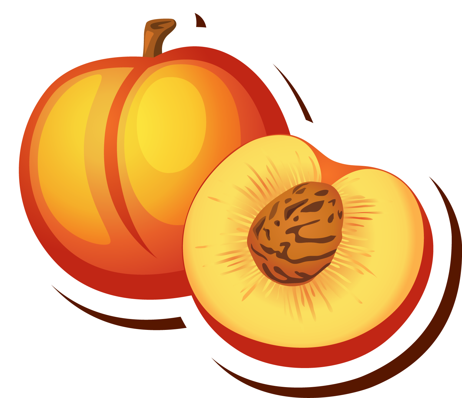 Peach Cartoon Drawing Clip Art - Peach Cartoon (1526x1315)