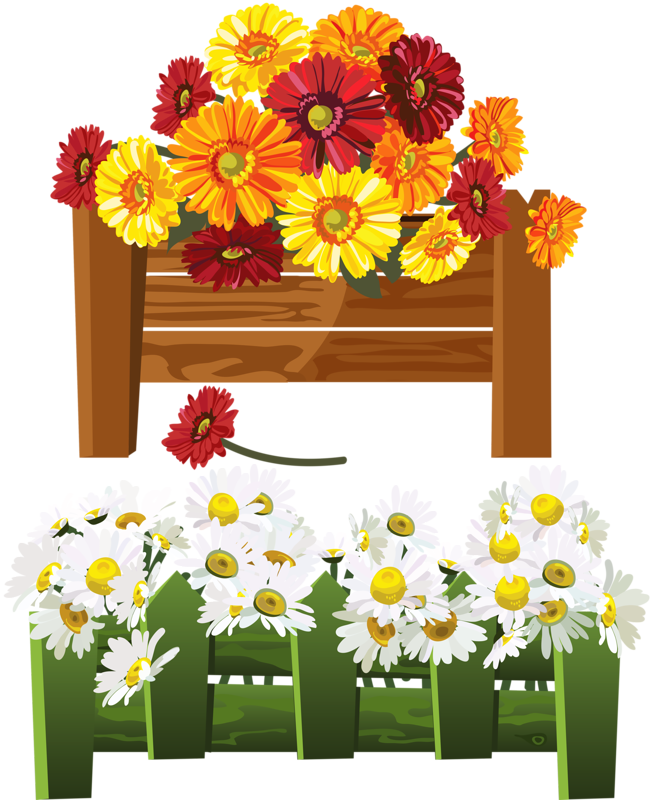 Flower Clipartclip - More And Less Flashcards (651x800)