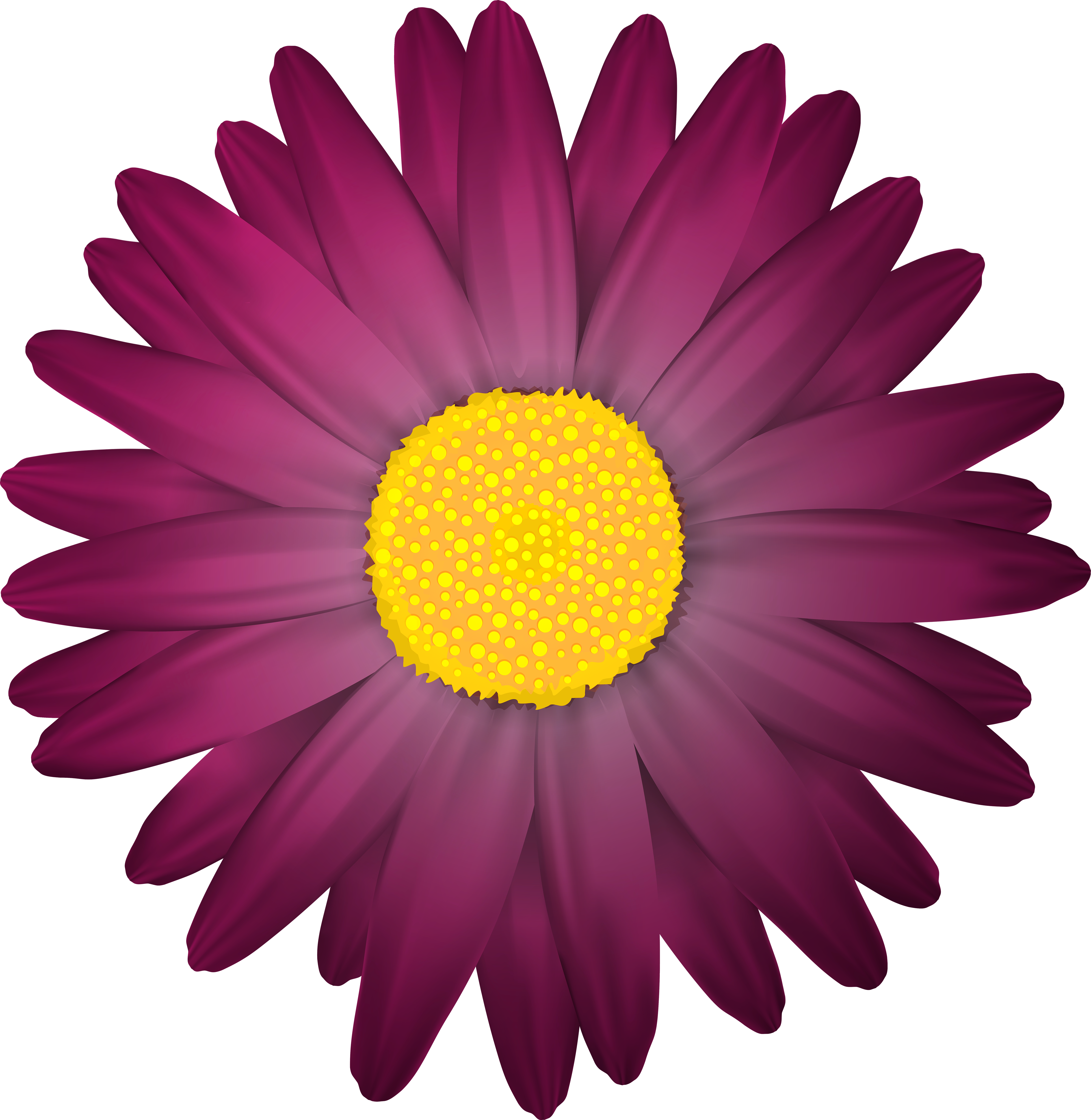 Dark Flower Transparent Png Clip Art Image - Clipart Flower Transparent (4868x5000)