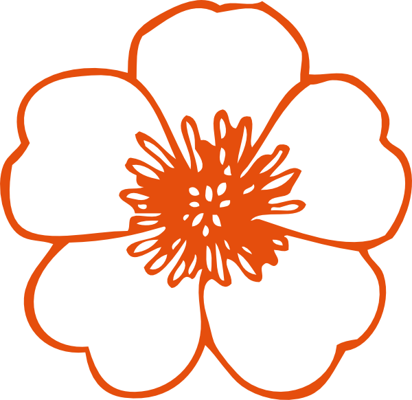 Peach Flower Clipart - Flower Clip Art Free (600x582)