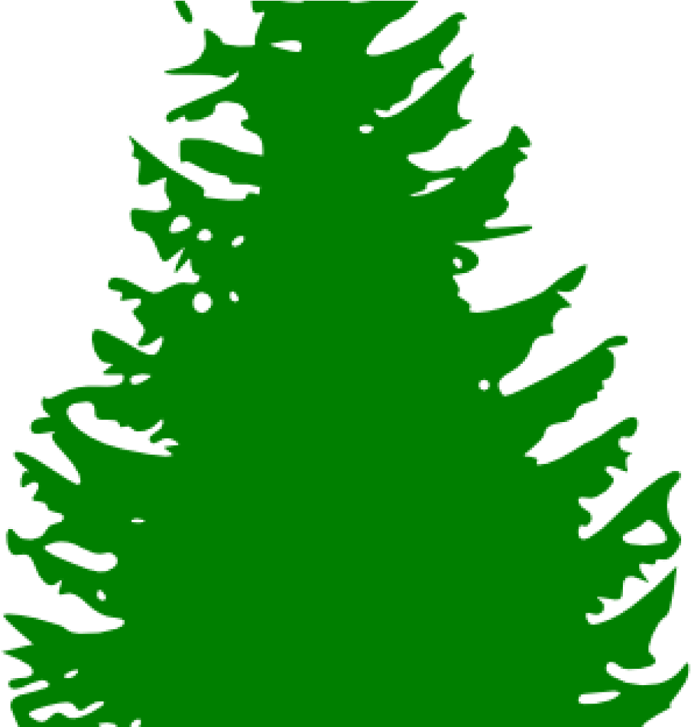 Pine Tree Clip Art Pine Tree Green Clip Art At Clker - Pine Tree Silhouette Vector (1024x1024)