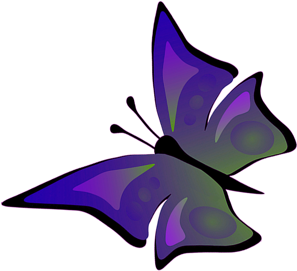 Flying Butterfly Clipart, Drawing Of Flying Butterfly - Flying Butterfly Drawings With Color (591x611)
