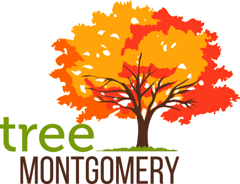 Tree Montgomery Tree Montgomery - Tree (492x378)