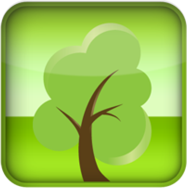 We're Planting A Tree For You, Thank You For The Purchase - Tree (800x800)