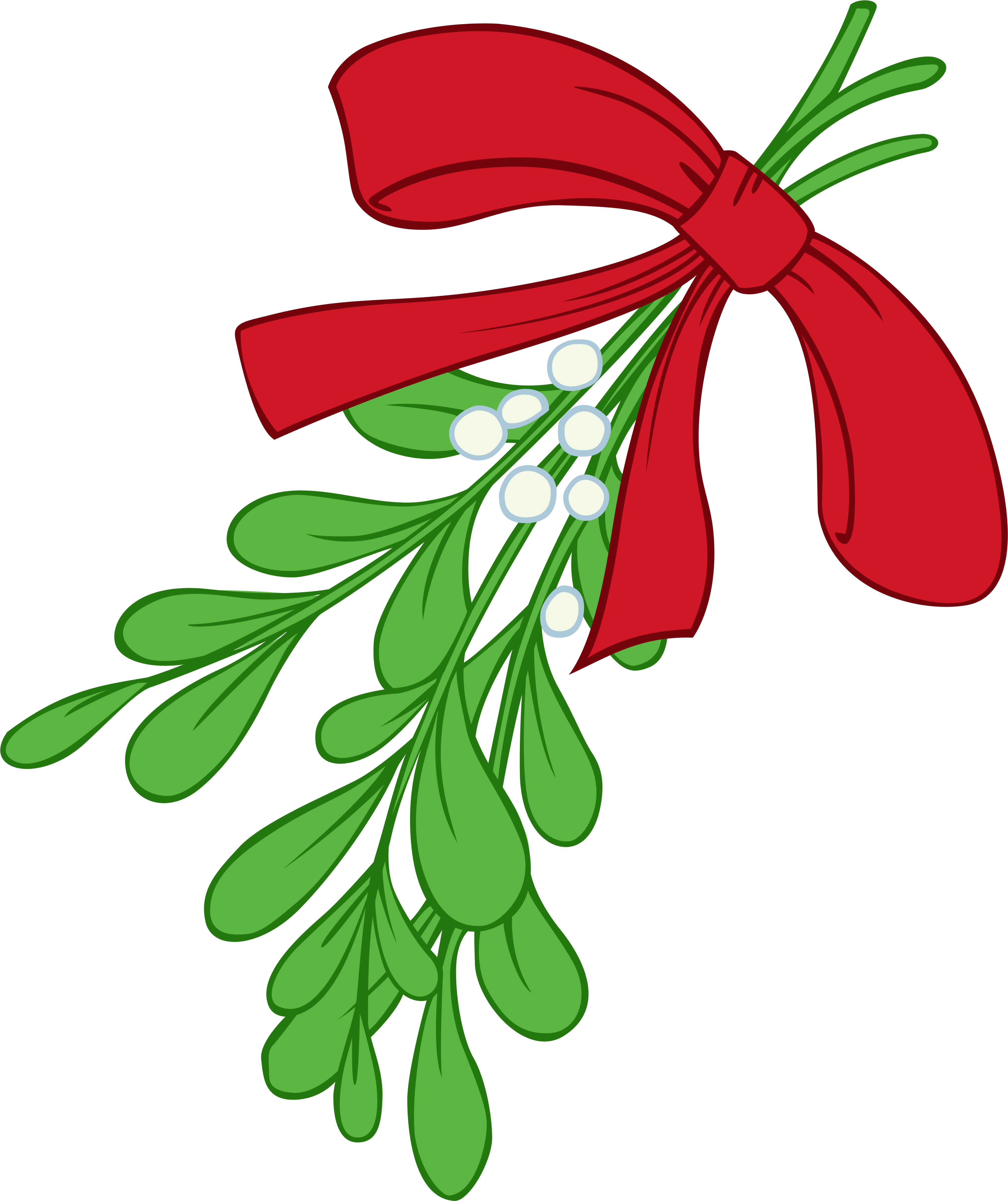 How To Draw A Mistletoe - Mistletoe Clipart (5000x5000)
