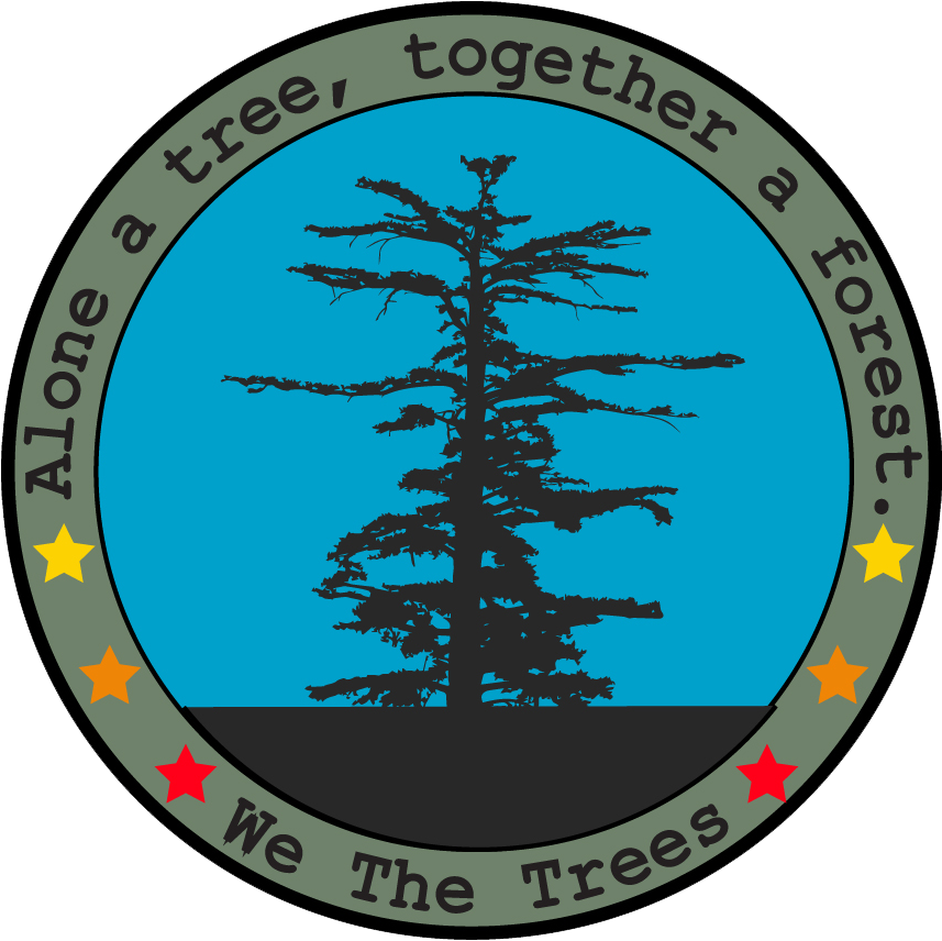 We Are Hard At Work On Our Spring / Summer 2018 Line, - We The Trees Hats (856x874)