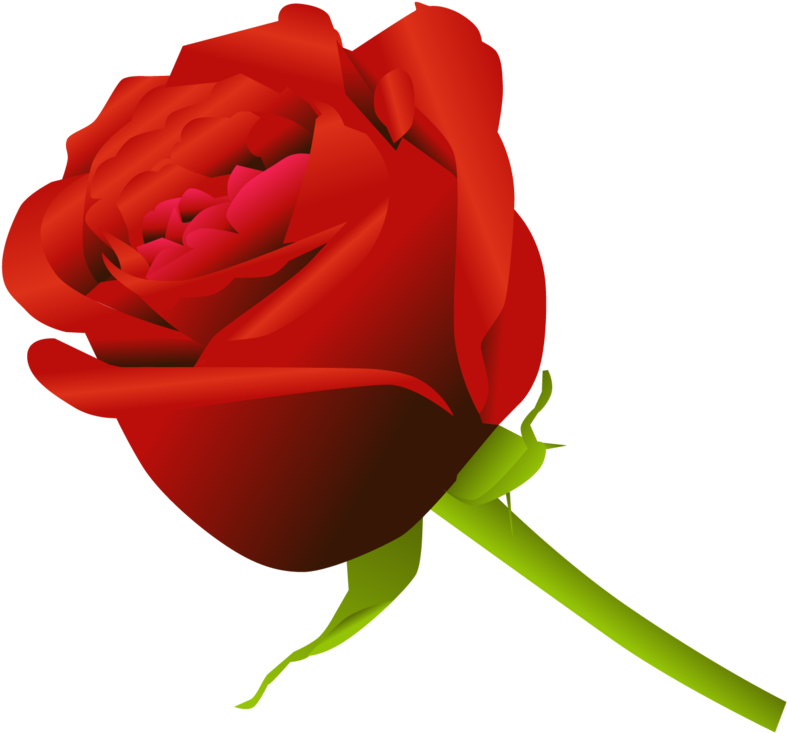 Simple Rose By Dekomaru On Deviantart - Simple Rose (900x900)