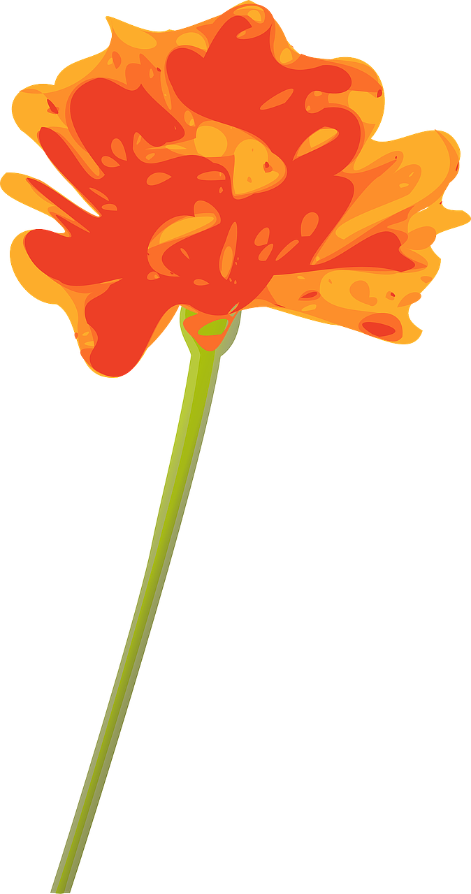 Orange Flower Clipart Transparent - Orange Flower Clip Art (674x1280)