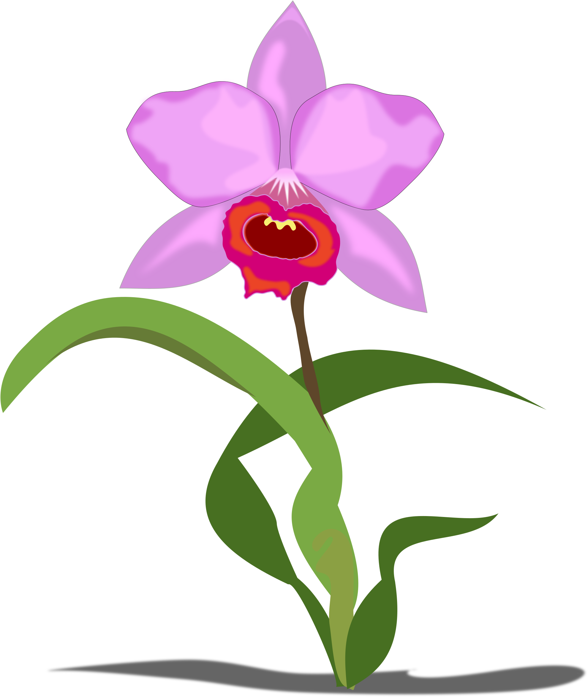Orchid Clipart Free Download Clip Art On Png - Orchid Clip Art (2400x2400)