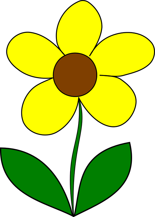 Yellow Flower Clip Art Png - Flower With 5 Petals Clipart (515x720)