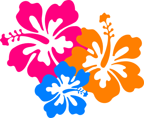 Hawaiian Flower Clip Art Borders - Hibiscus Clip Art (600x492)
