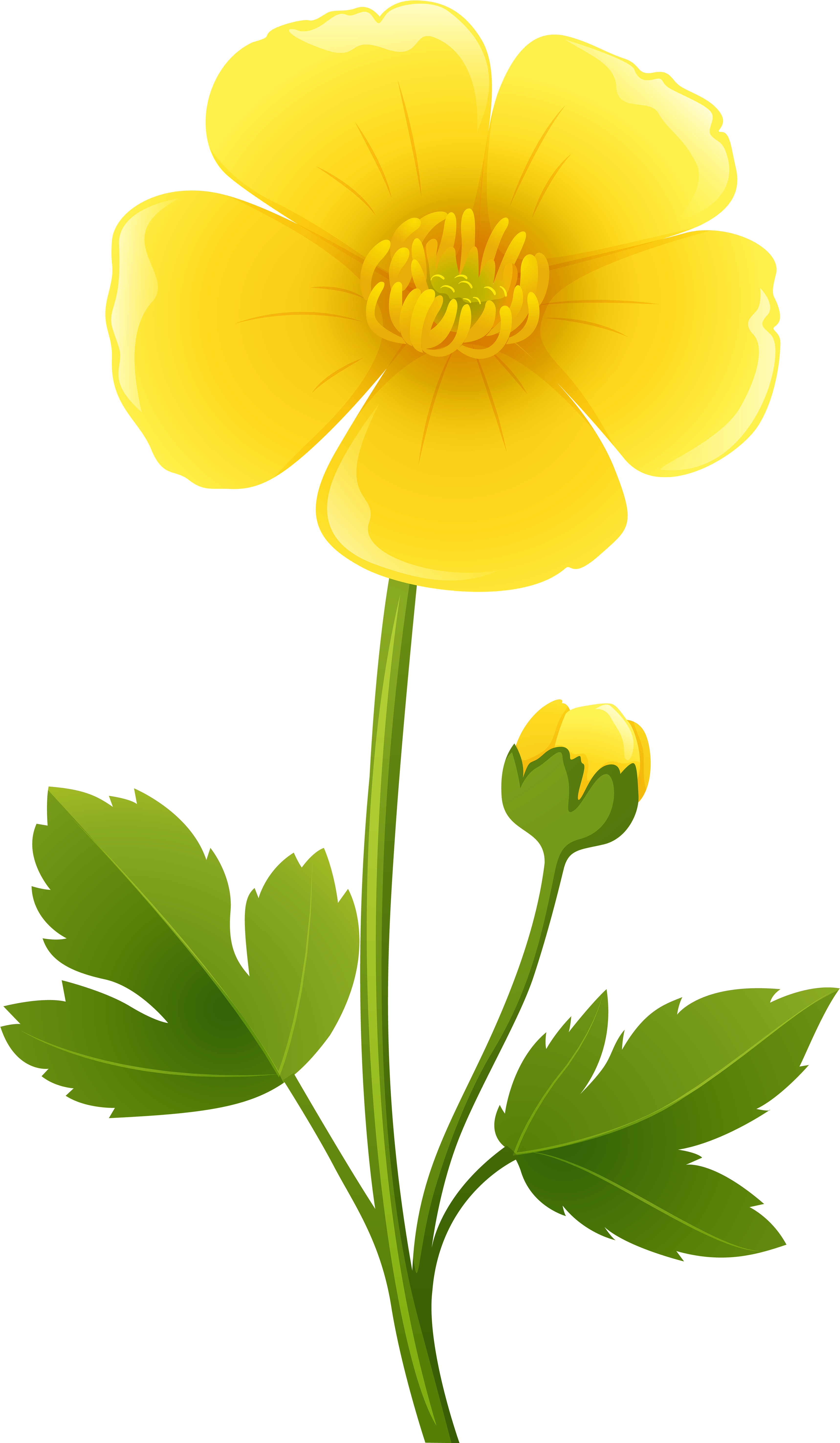 Yellow Flower Transparent Png Clip Art Image - Yellow Flower Transparent Clipart (3492x5925)