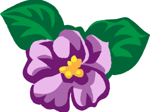 Violet Flower Clip Art - African Violet Clip Art (640x480)