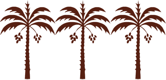 About Our Date Paste - Palm Tree Saudi Arabia Clipart (536x260)