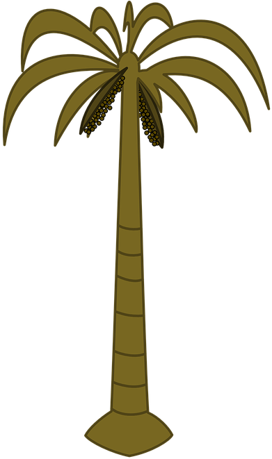 Palm Tree Palm Tropical Black Silhouette Tree - Palm Tree Clip Art (463x720)