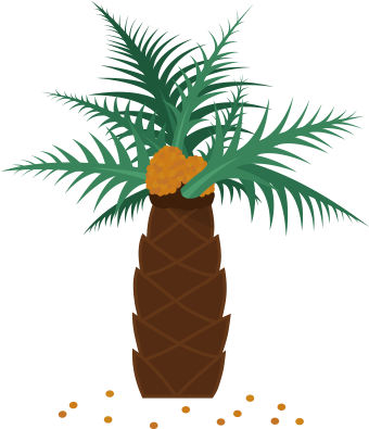 Illustration Of A Palm Tree - Oil Palms (341x445)
