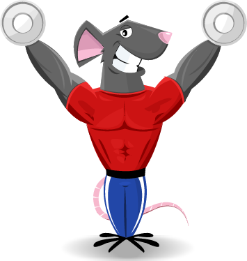 Migthy Mouse Mascot - Gym Mascots (355x374)