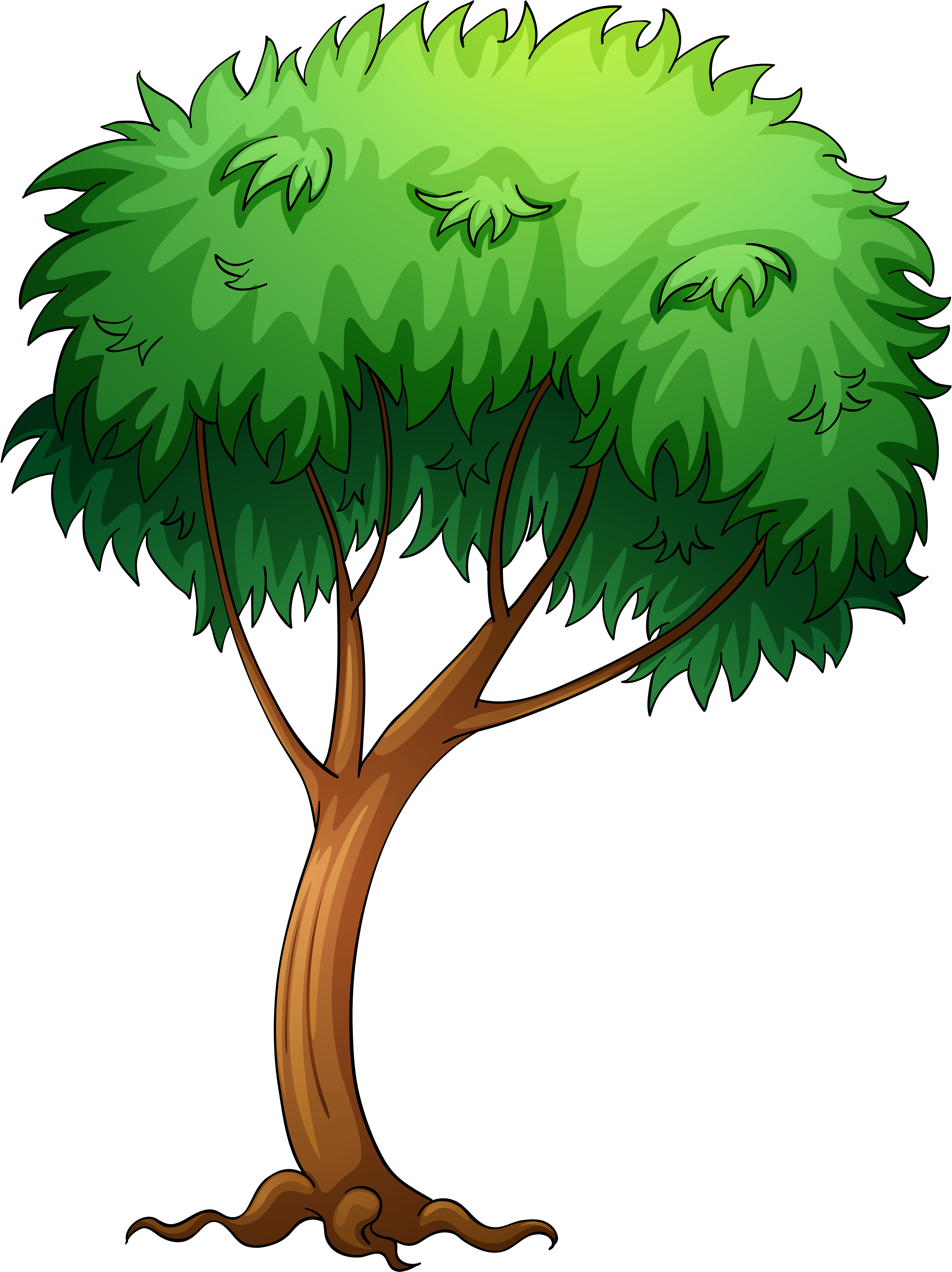 0, - Tree Clip Art Png (3945x5080)