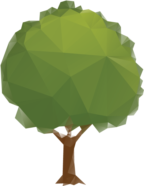 Temperate Deciduous Biome - ป่าชายเลน Png (480x612)