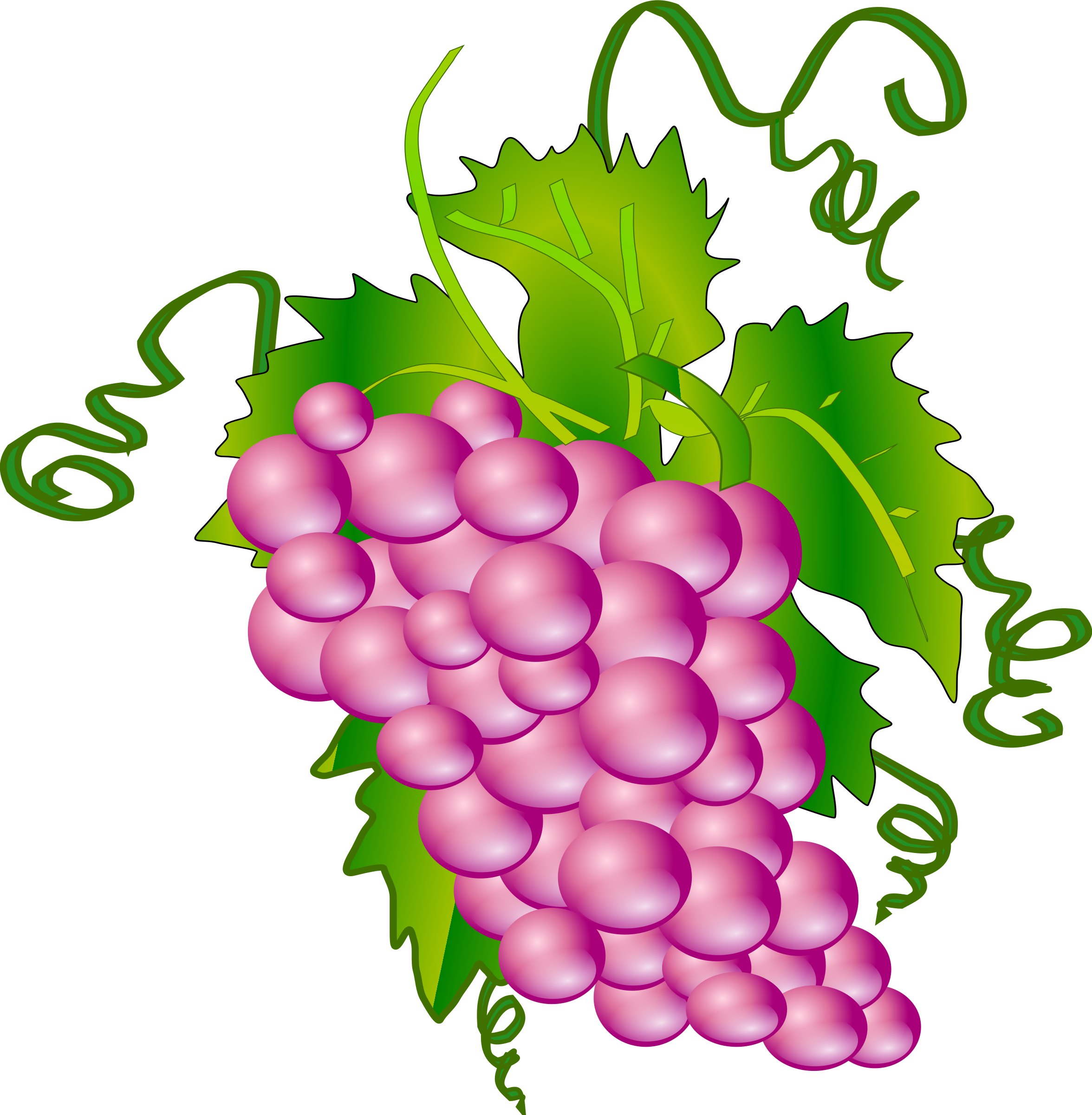 Wine Grapes Clipart - Grapes Tree Clip Art (2354x2400)