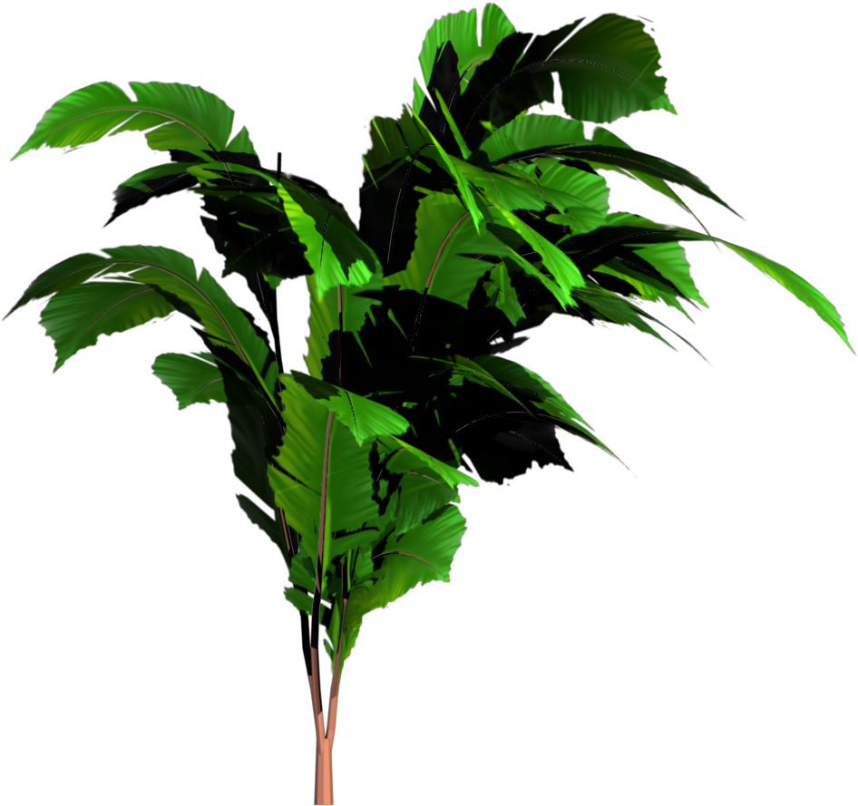 Jungle Tree Png Transparent Image - Jungle Tree Png (1024x1024)