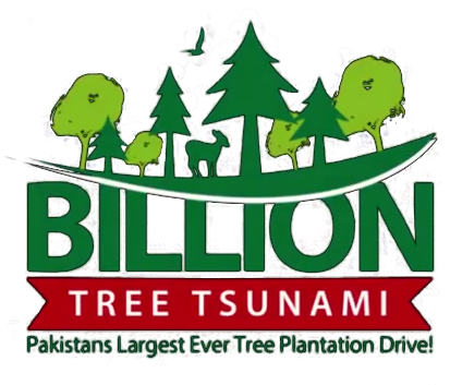 Billion Tree Tsunami Afforestation Project (510x365)