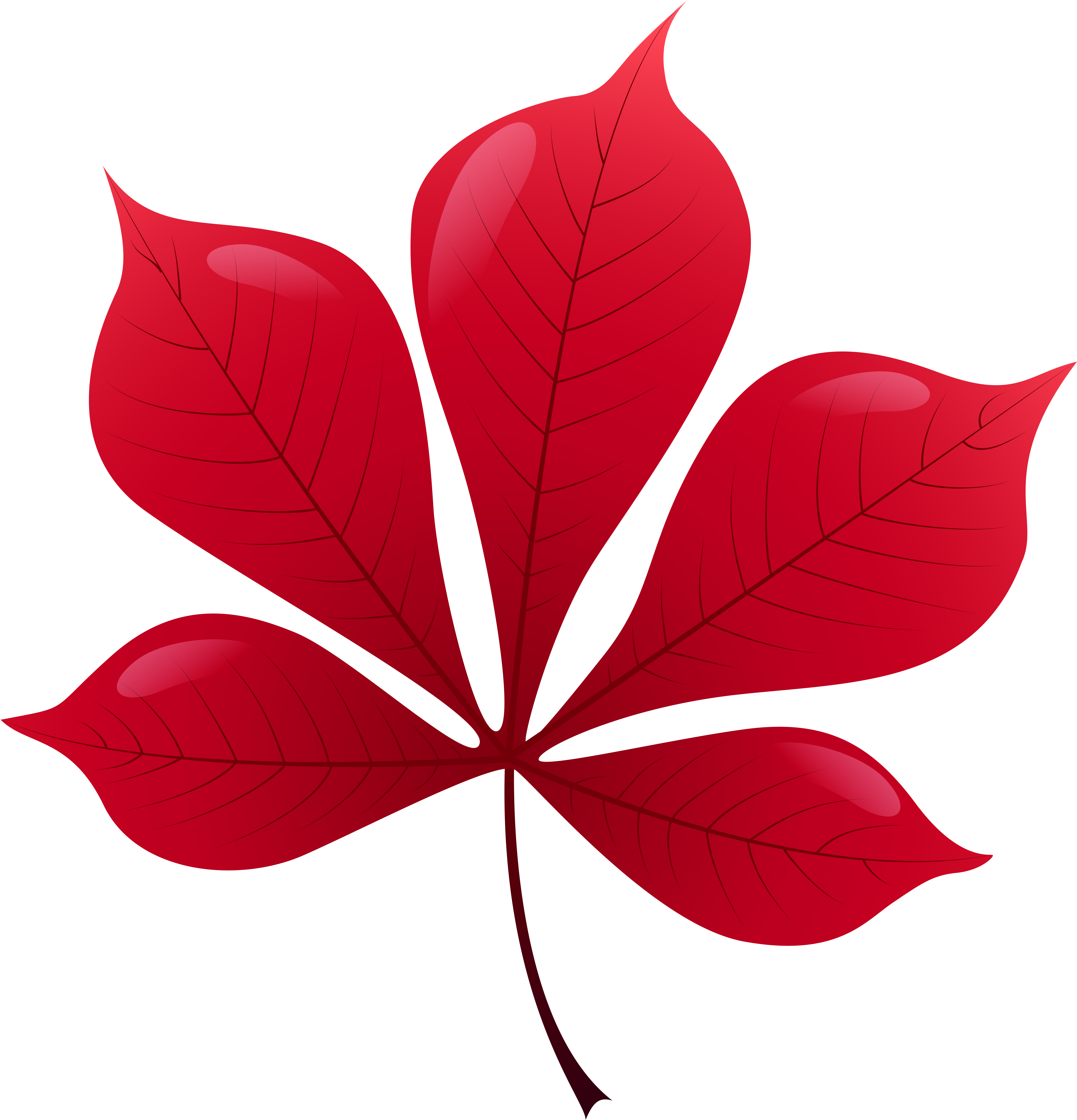 Red Leaf Png Clip Art - Red Leaf Png Clip Art (7737x8000)