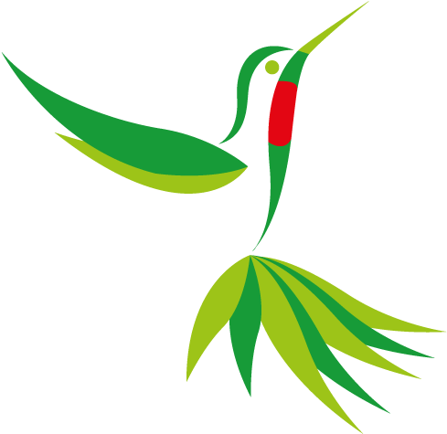 Birding Tours Ecuador - Hummingbird (500x500)