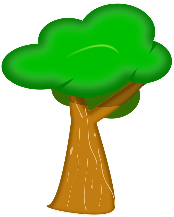 Tree Trunk Bark Green Forest Foliage Brown - Trees Clip Art (576x720)