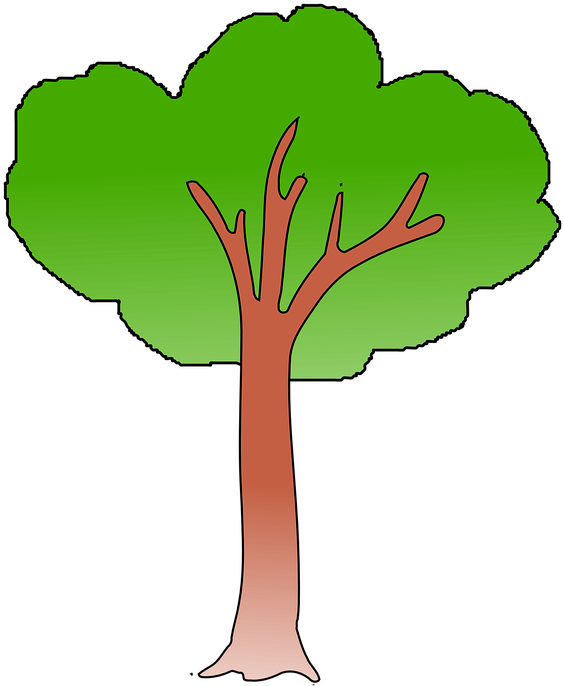 Trunk Tree, Green, Trunk - Imagen De Un Arbol Verde (669x720)