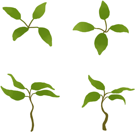 Clipart Tree No Leaves - Clipart Tree No Leaves (500x500)