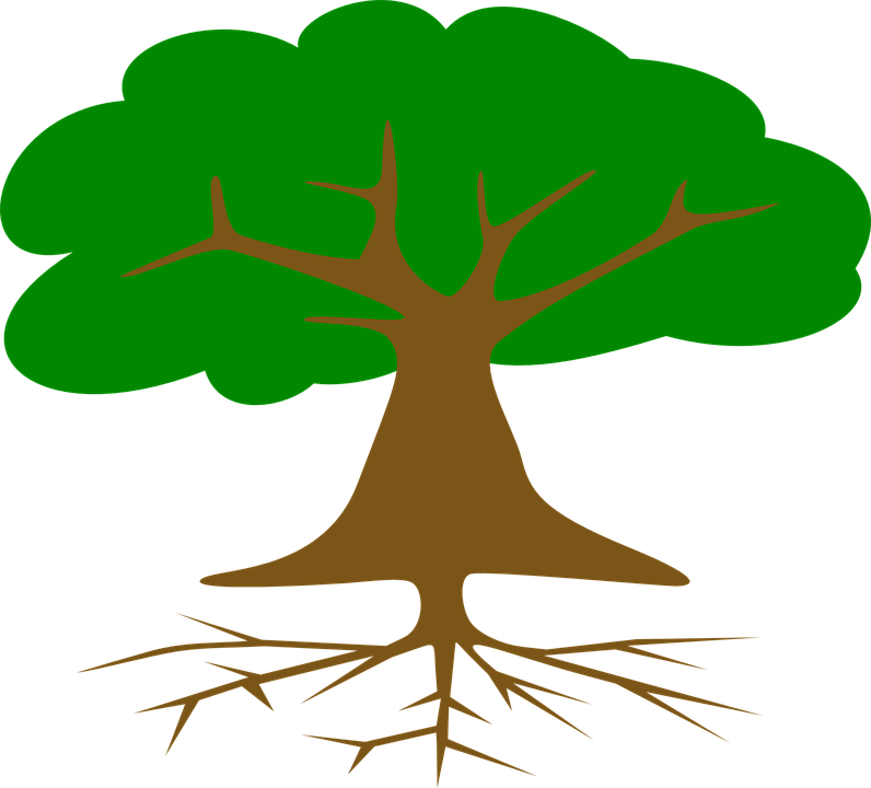 Arbol Con Raices Dibujo (796x720)