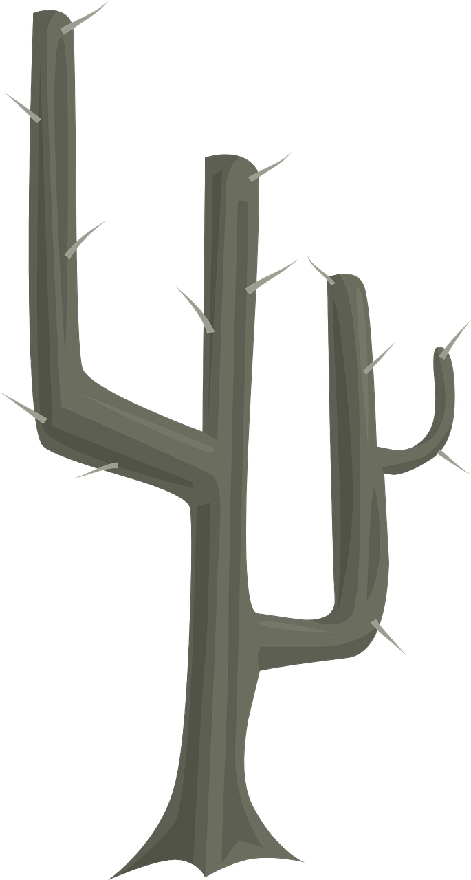 Trunk Cactus Clipart - Cactus (685x1280)