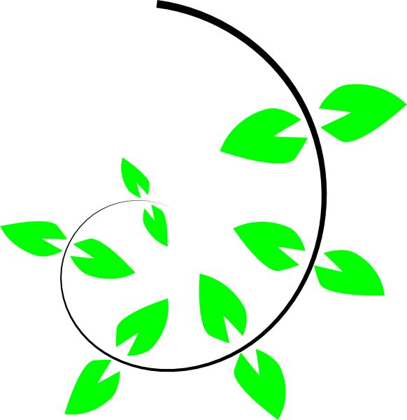 Large Plant Cliparts - Climbing Plant Vector (582x600)