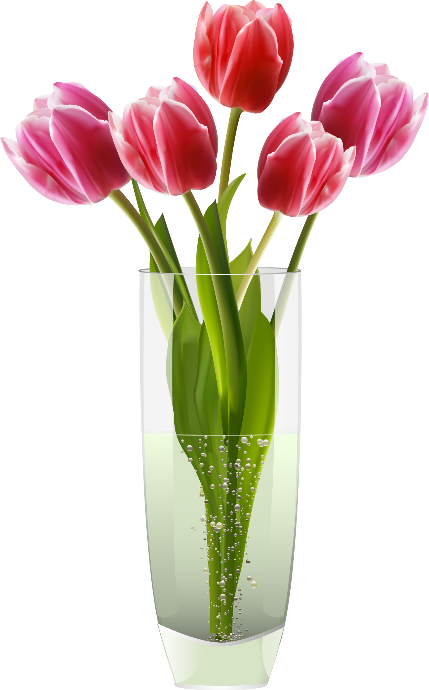 Pink Red Tulips Vase Png Clipart Clipart Best Clipart - Clipart Flowers In A Vase (1457x2326)