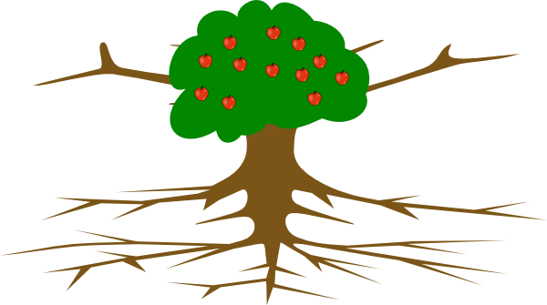 Apple Tree With Wide Trunk Clip Art - Tree With Roots (600x335)