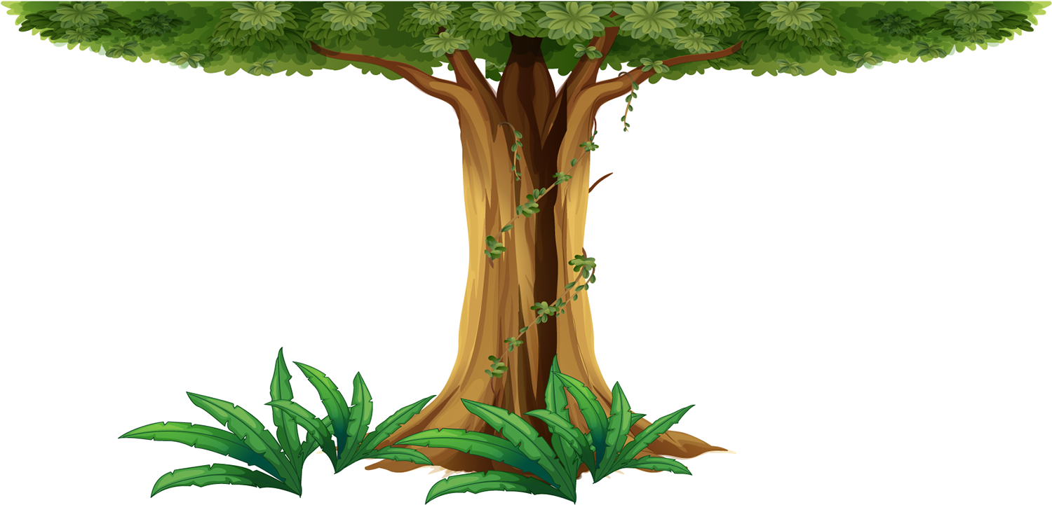 Shaping The Educational Experience - Illustration (1499x734)