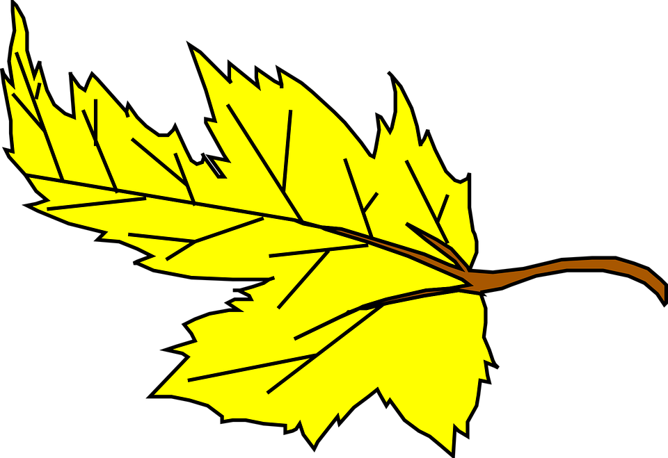 Fall Yellow Leaf Cartoon Plant Falling Leaves Jrekuw - Yellow Leaf Clip Art (960x659)