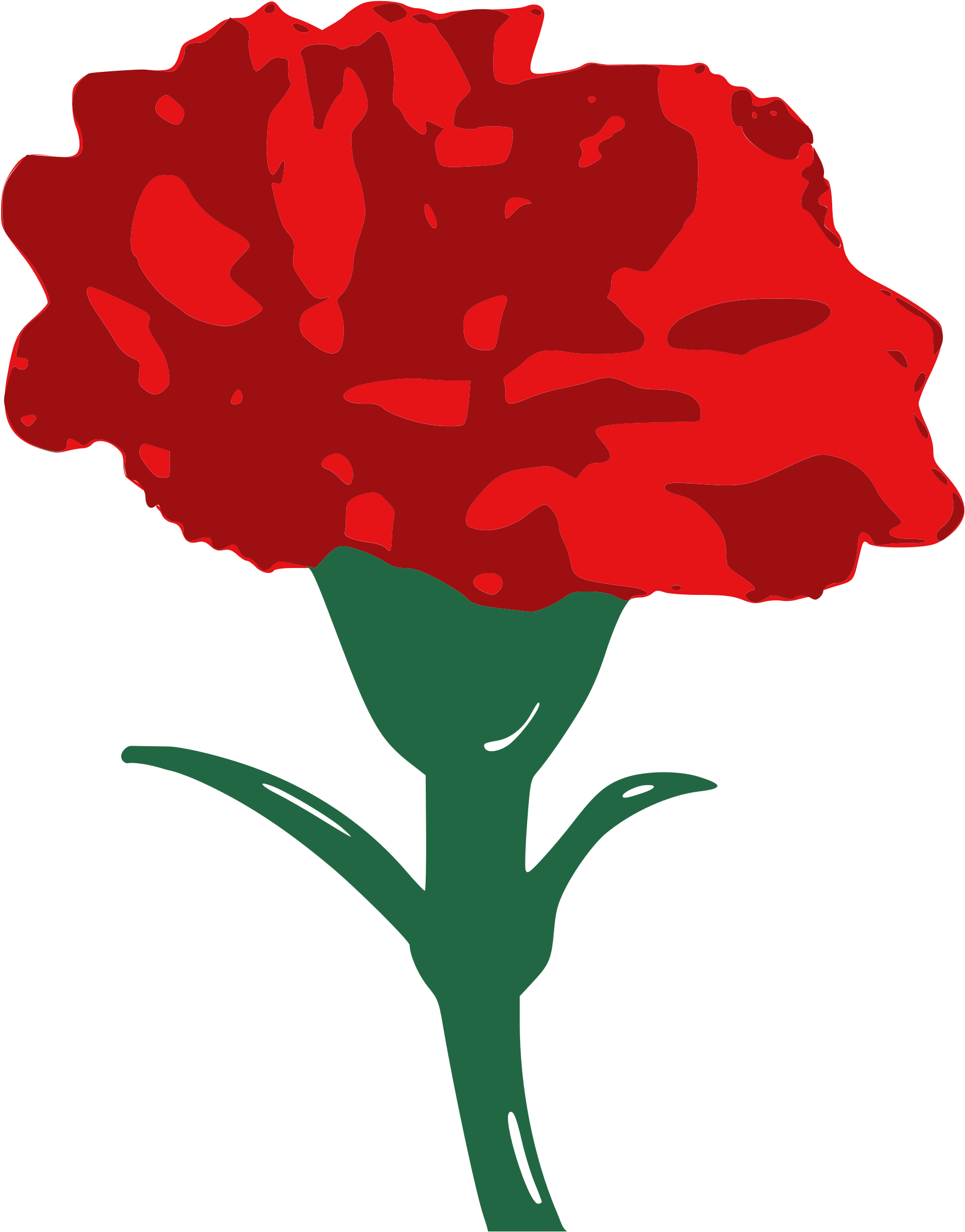 Carnation Family Clipart - Carnation Clipart.