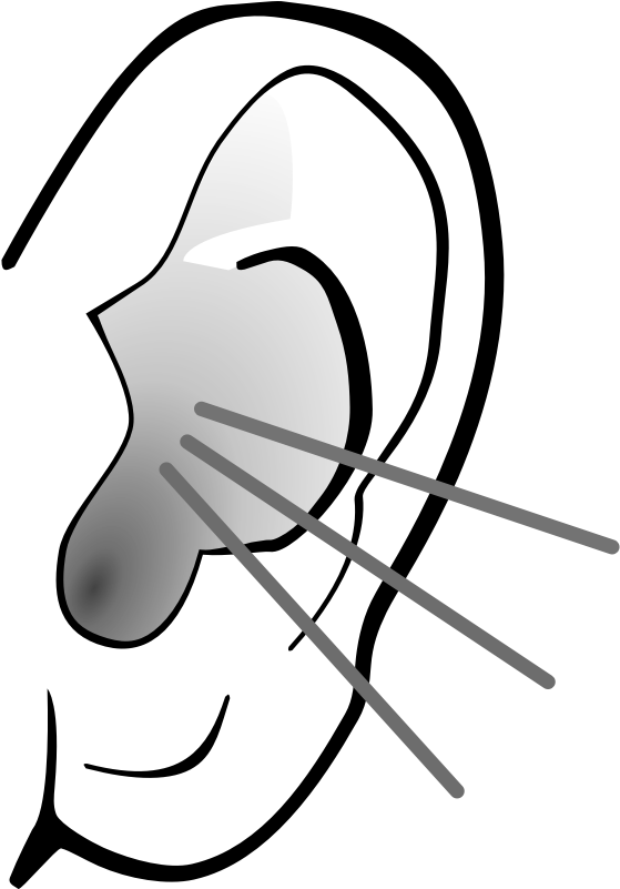 Clipart - Listening Ear - Listen Clipart Black And White (800x800)