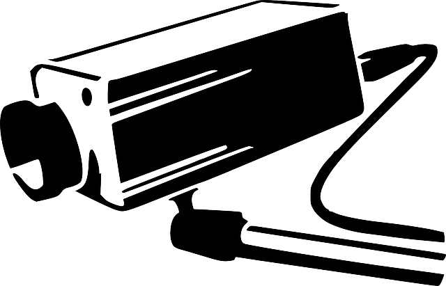 Download - Camara De Seguridad Vector Png (640x411)
