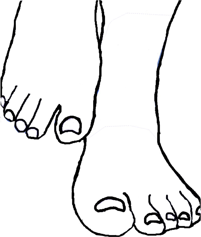 Foot Drawing Toe Clip Art - Foot Drawing Toe Clip Art (803x995)
