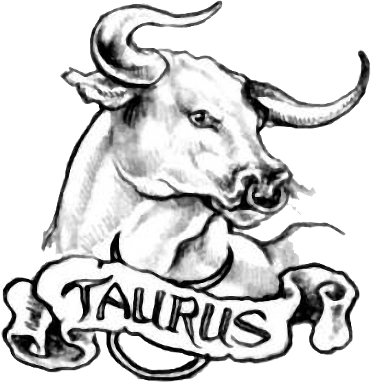 Taurus Simple Bull Tattoo Design For Men - Taurus Tattoo (549x563)