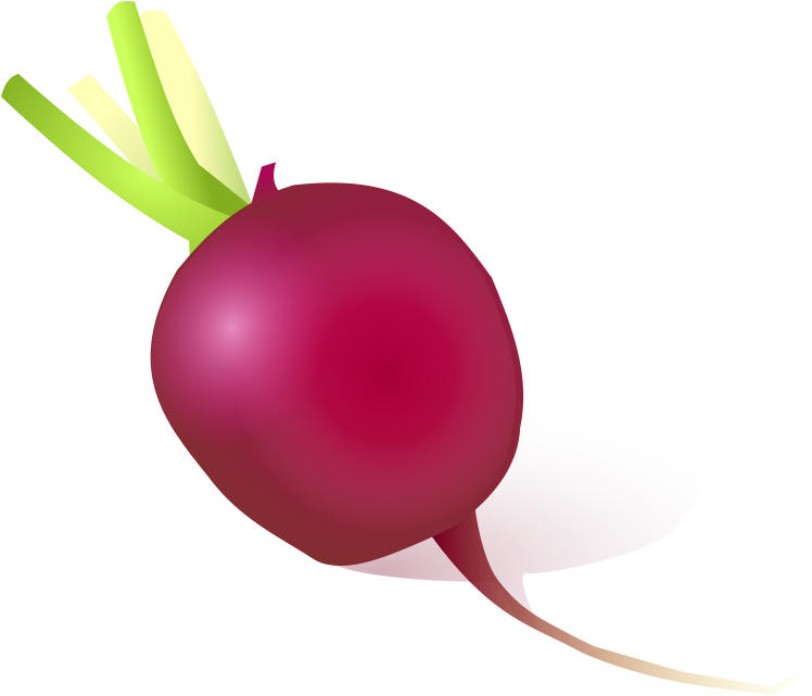 Radishes 2 Clip Art Download - Cartoon Radish (1000x854)